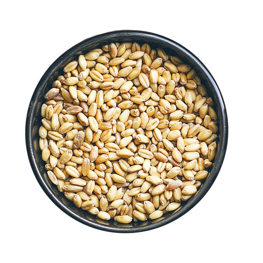 Triple-cleaned Non-GMO Wheat grains seeds healthy food wholesale cereal grains natural bulk organic non-GMO