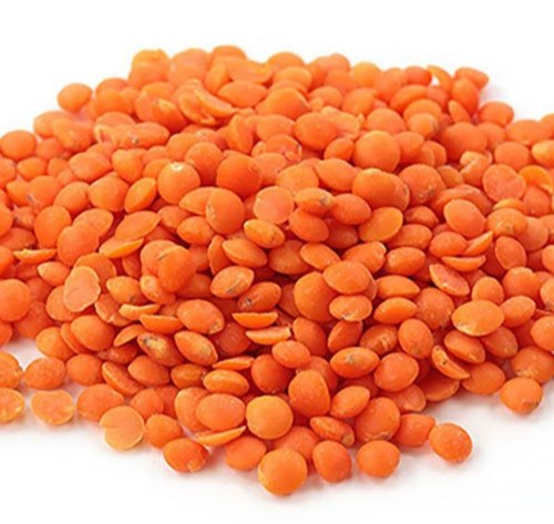 High quality canadian red lentils for sale