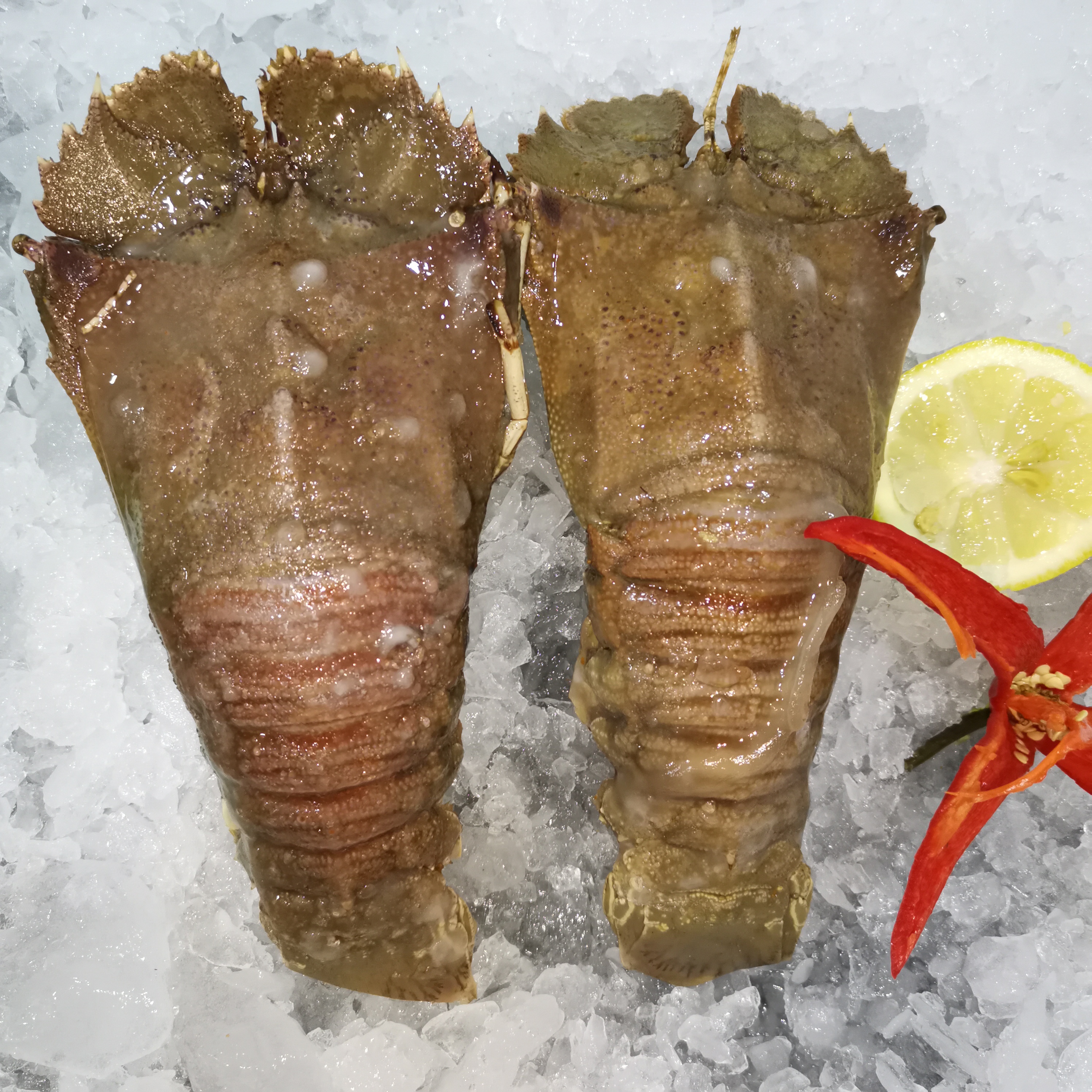 Лучший заводской Рынок морепродуктов Mican, Замороженные Свежие тапочки из малайзии