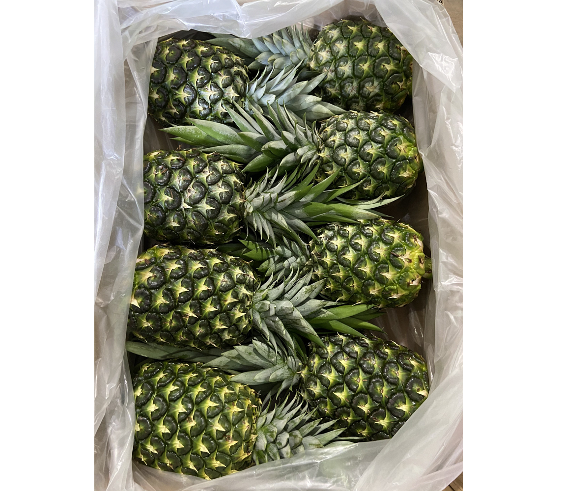 High Quality Fresh Pineapples Vietnam Pineapple Quaranteed Fresh and Sweet