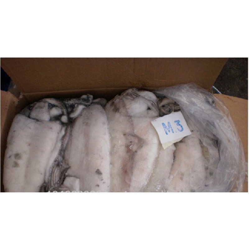 FROZEN CUTTLEFISH WHOLE ROUND