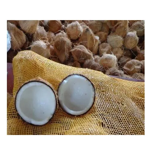 DRIED SEMI HUSKED COCONUT FROM VIETNAM/CHEAP PRICE FOR FULL DEHUSK MATURE COCONUT