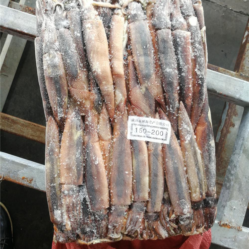 Каламари (кальмар), дешевый замороженный кальмар Illex, холодный дом Todarodes Pacificus / lllex серебристый