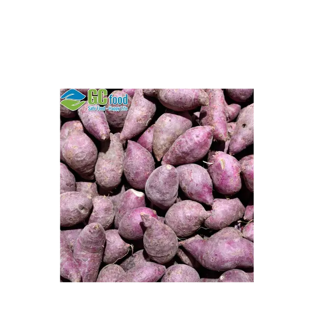 Fresh sweet ( purple ) potato with 100% Maturity Newest Crop Organic - 10 kg - Common Cultivation from Viet Nam