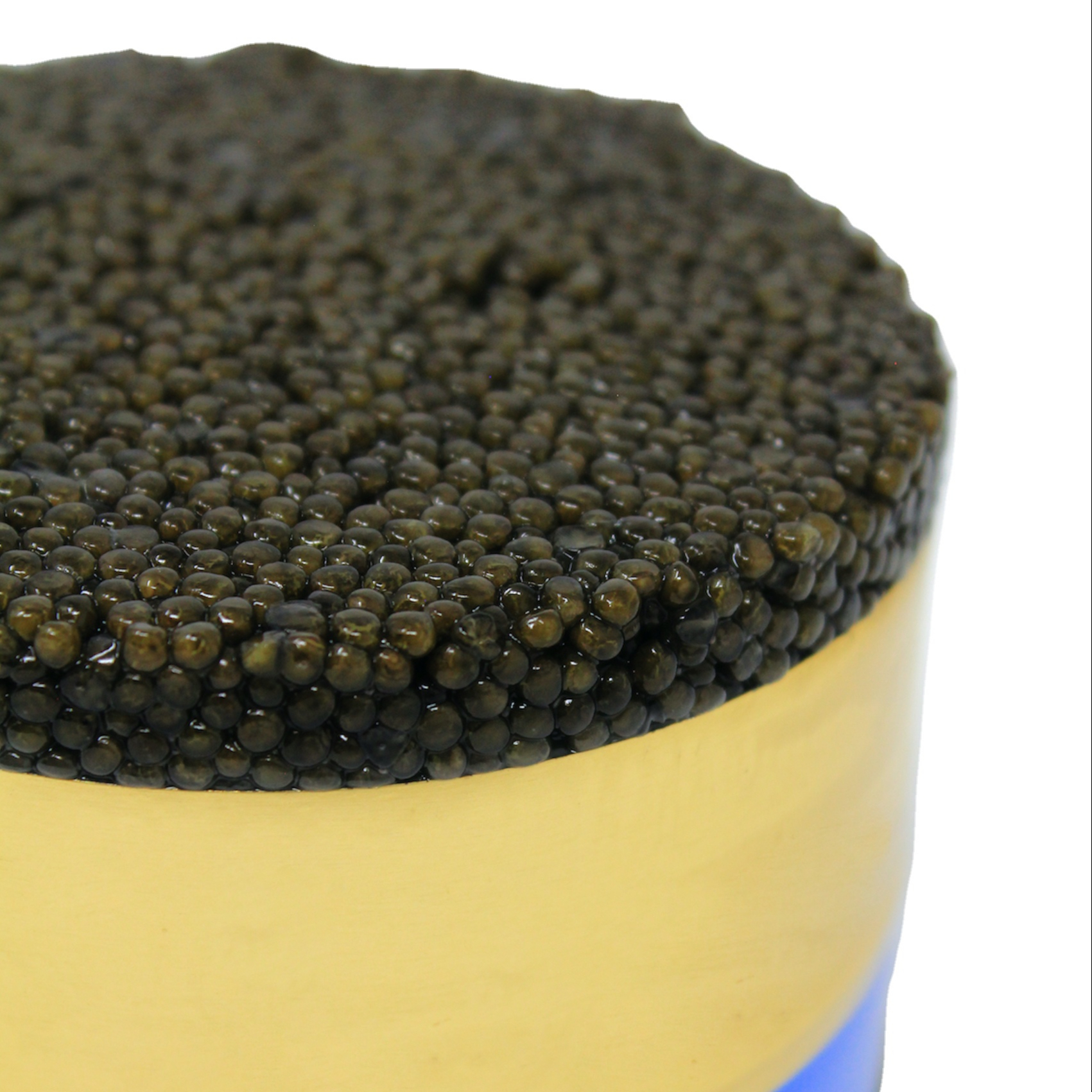 Made in Italy White Sturgeon Caviar Malossol 500gr Tin