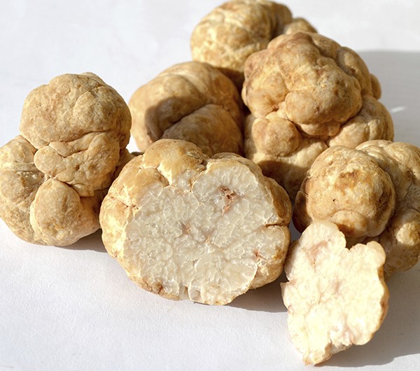 Truffles For Truffle Oil/Truffle Sauce.Fresh Black/WhiteTruffles
