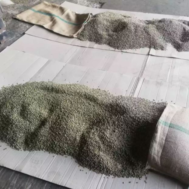 Кофе робуста из Вьетнама с полировкой
