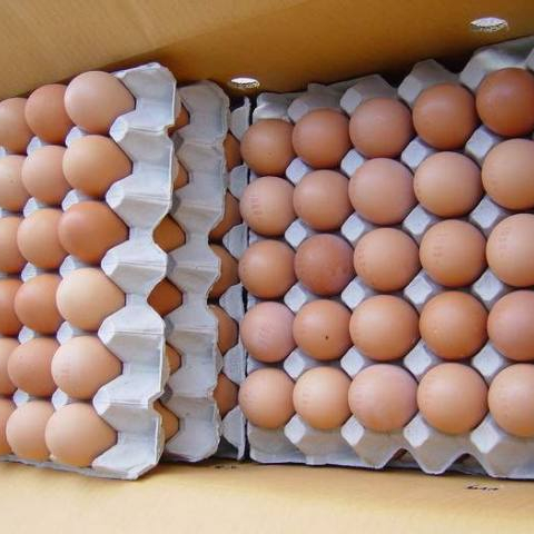 Свежие яйца для стола, белые и коричневые