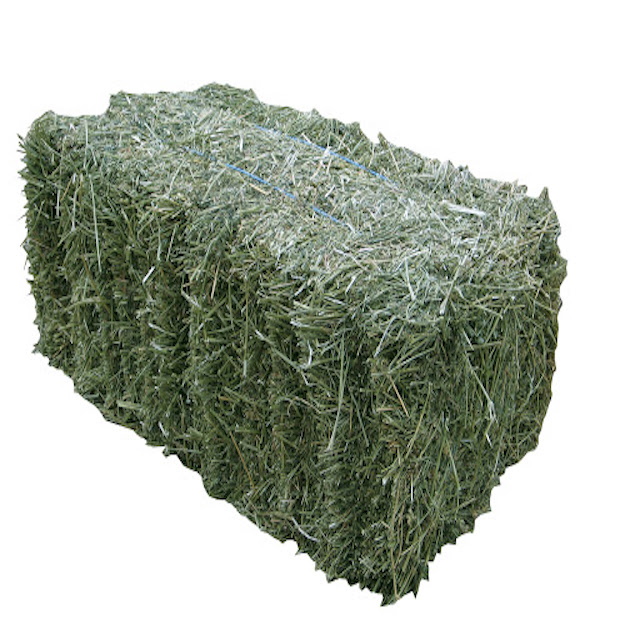 Fresh Alfalfa Hay for Animal feed Natural Cattle Alfalfa Hay Animal Feed for sale