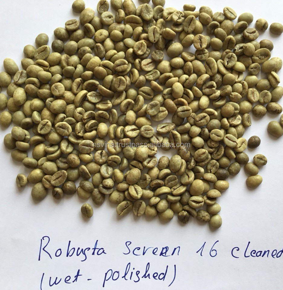 VIETNAM NATURAL SCREEN 16 WET POLISHED ROBUSTA COFFEE BEAN