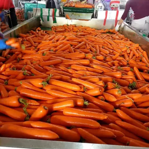 Новый Урожай свежей моркови (тел/whatsapp/ viber/ kakao talk: 0084 989 322 607)