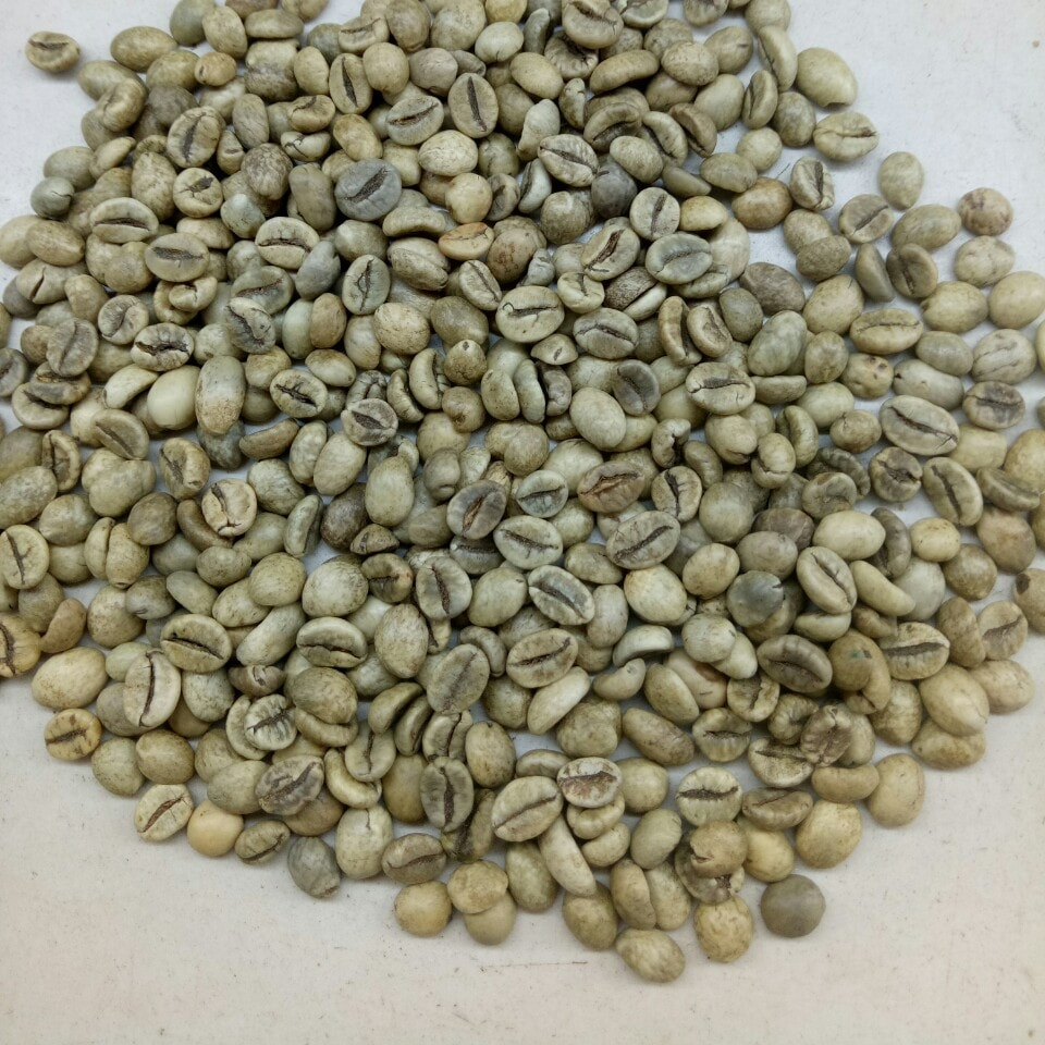 Кофе-экран ROBUSTA 13