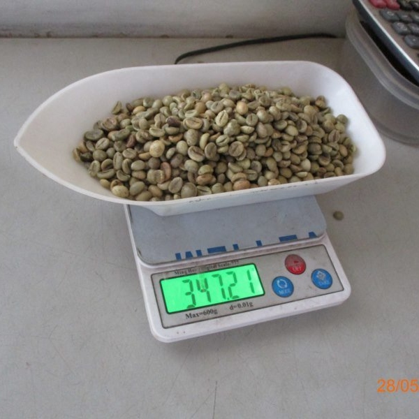 Robusta & Arabica Coffee Beans