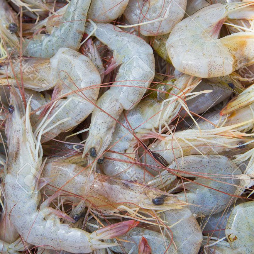 Замороженные красные креветки, дикие креветки, охлажденные морепродукты