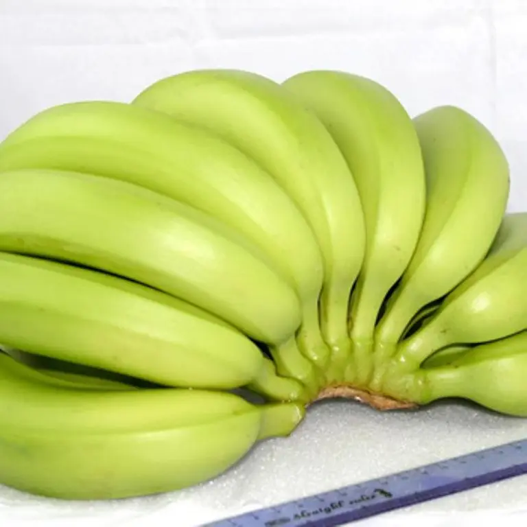 Fresh Banana/ Carvendish Banana for Healthy Food from Vietnam/  Ms. KIO HYUNH +84 34 375 8904