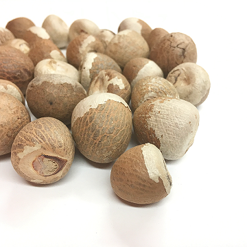 Betel Nut светло-стильный цвет КОРИЧНЕВЫЙ сырье оригинальный тип сушеный класс ISO Место модель HACCP