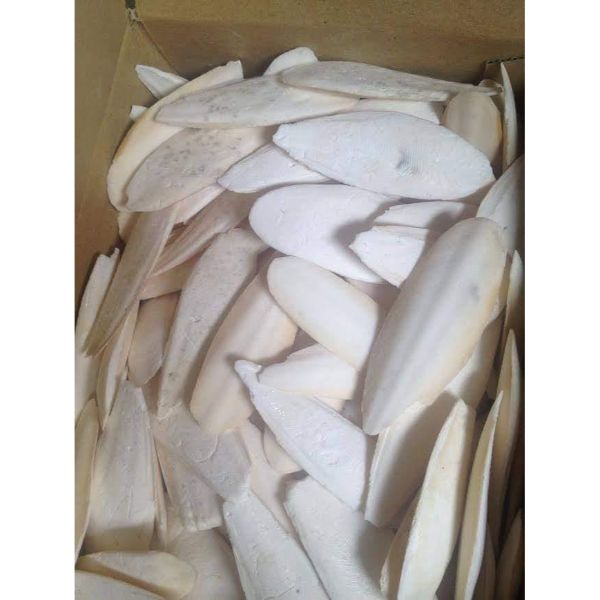 white dried salted calcium bone high quality stock from pakistan