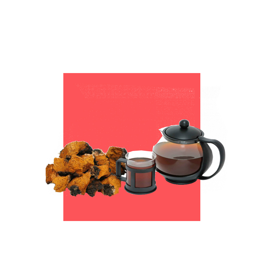 A033-русские органические грибы Chaga