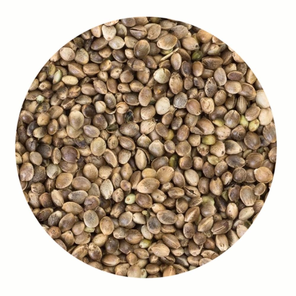 Whole Hemp Seeds Organic and Conventional