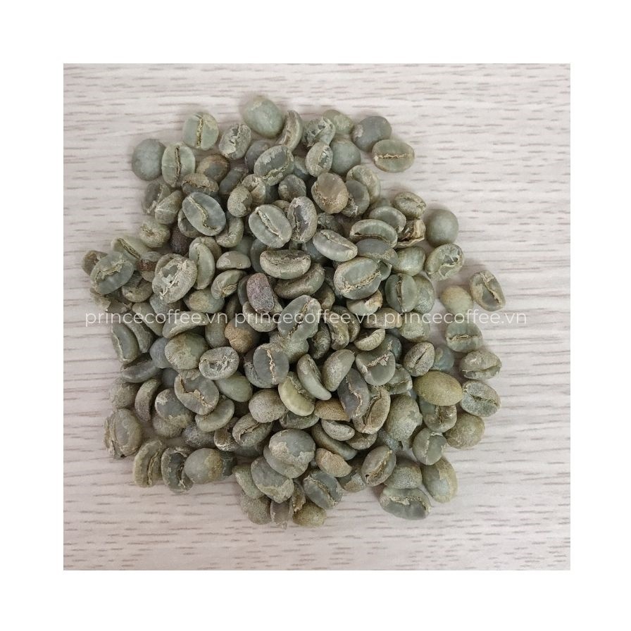 Vietnam HOT SELLER Arabica Coffee Beans Vietnam 18 scr Green Coffee Beans Raw Coffee Bean