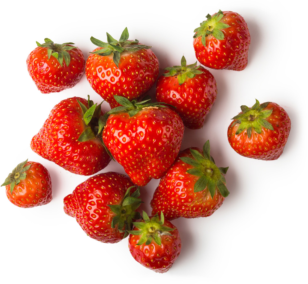 South African High Quality Fresh Strawberries Fresh Strawberry Fruit