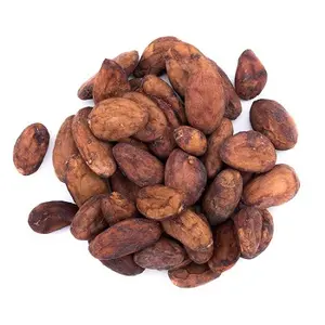 Roasted Cocoa Beans for sale