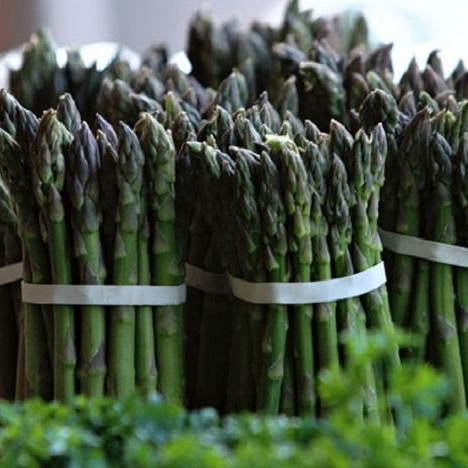 Quality Fresh Frozen Green Asparagus in Bulk - HOT SALE
