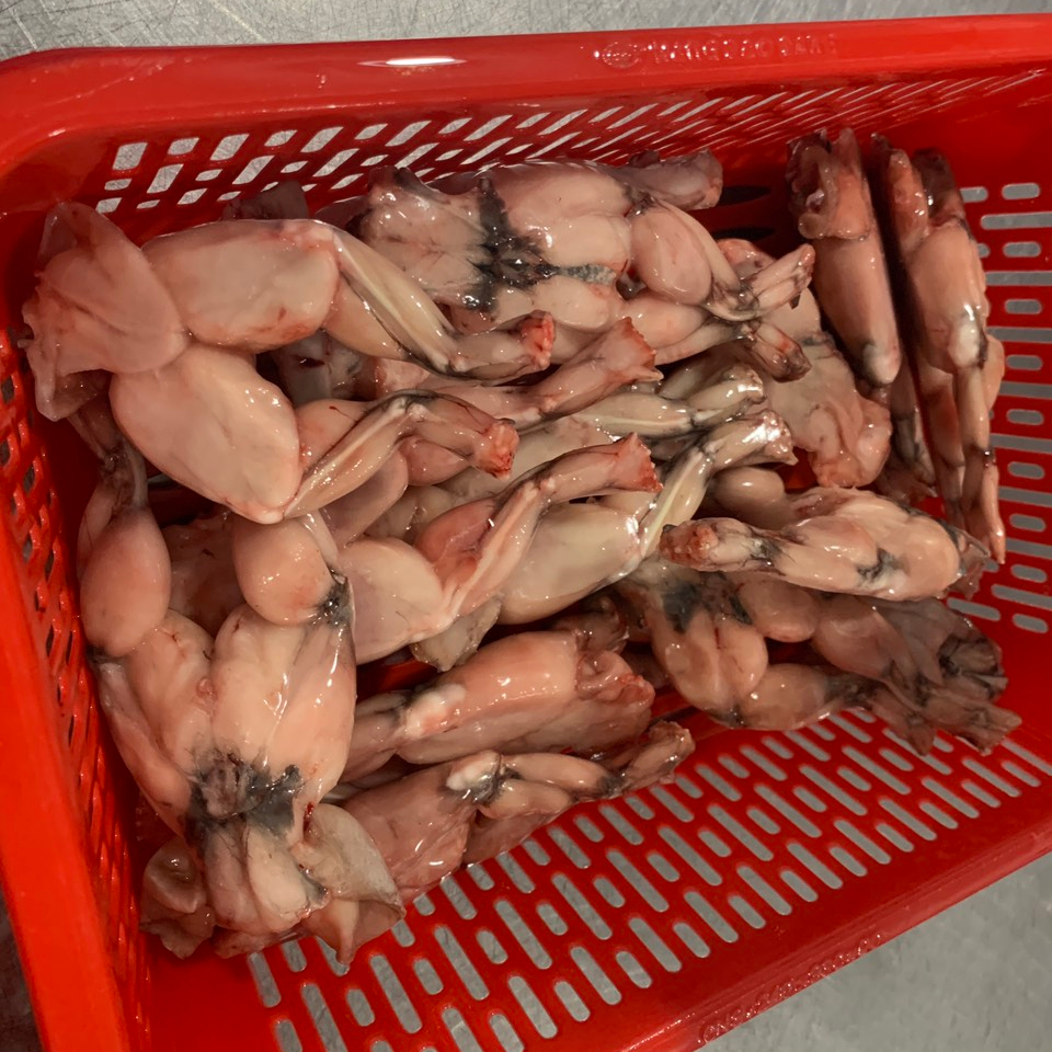 Best selling Frog Legs Frozen Food - no chemicals