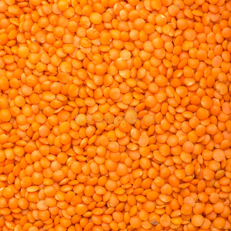 RED LENTILS FROM CANADA READY
