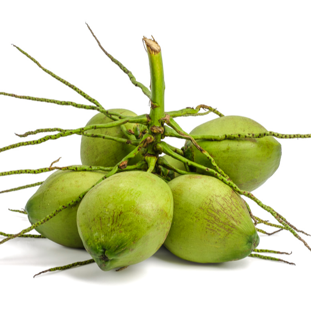 WHOLE COCONUTS / FRESH COCONUT GREEN / DRIED COCONUT COPRA