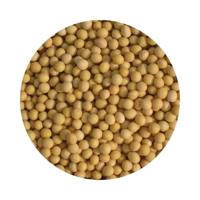 Wholesale organic yellow soybeans forage seed soy bean oilseed crop