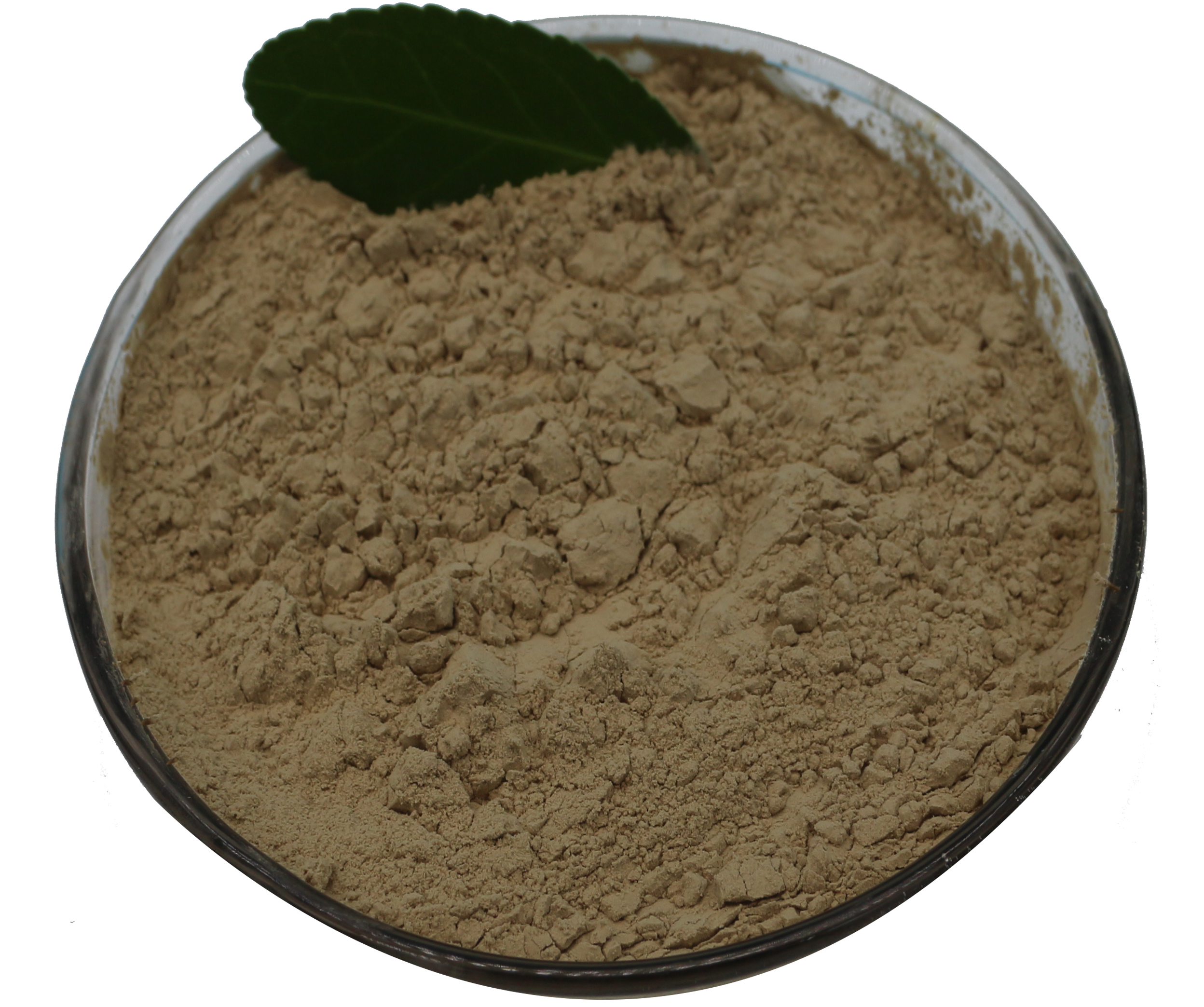 Cheap price Liquid fertilizer Potassium Humate Granular Buy Potassium Humate Buy Potassium Fulvate Shiny Flake