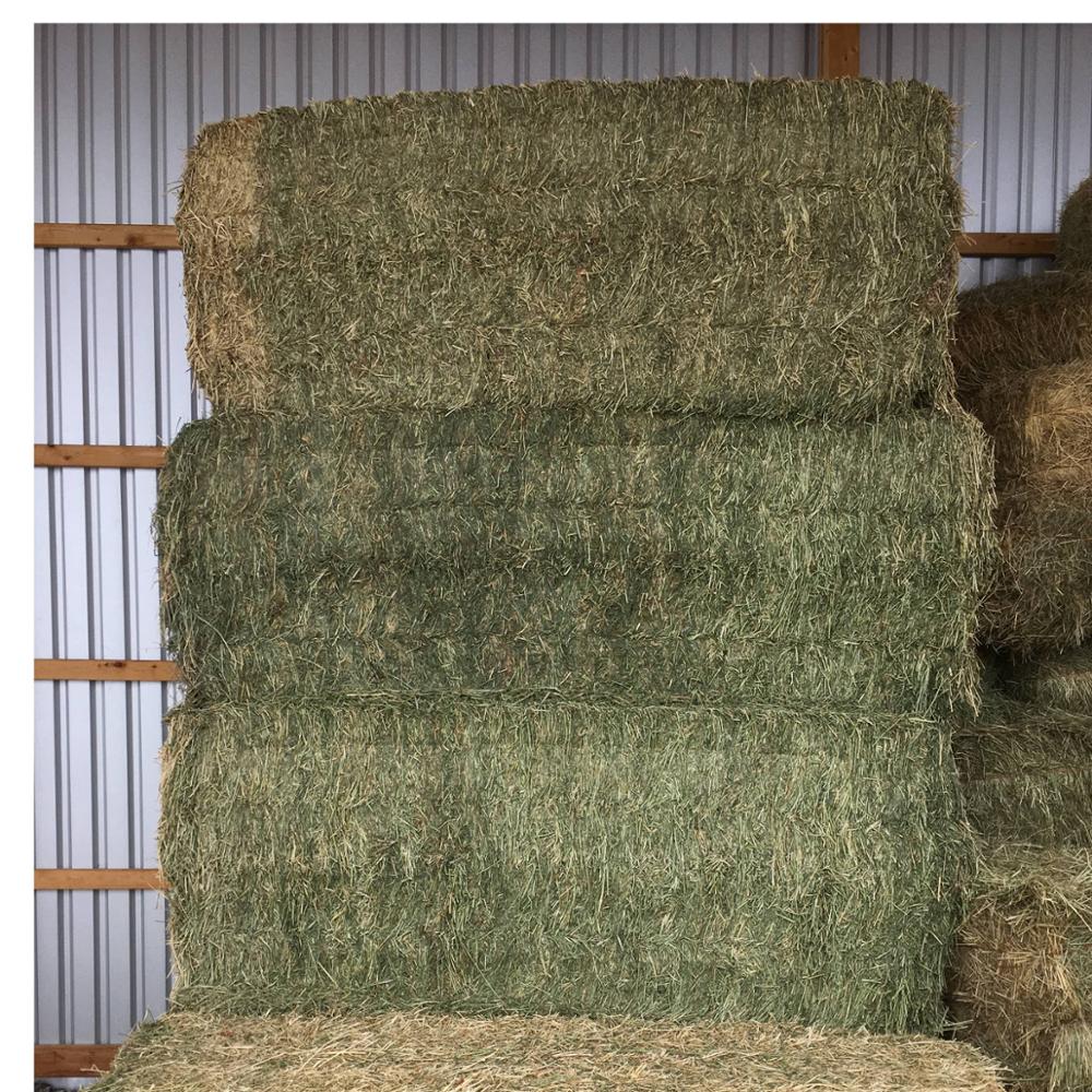 Super Top Quality Alfalfa Hay for Animal Feeding Stuff Alfalfa Timothy Alfalfa Hay for Sale