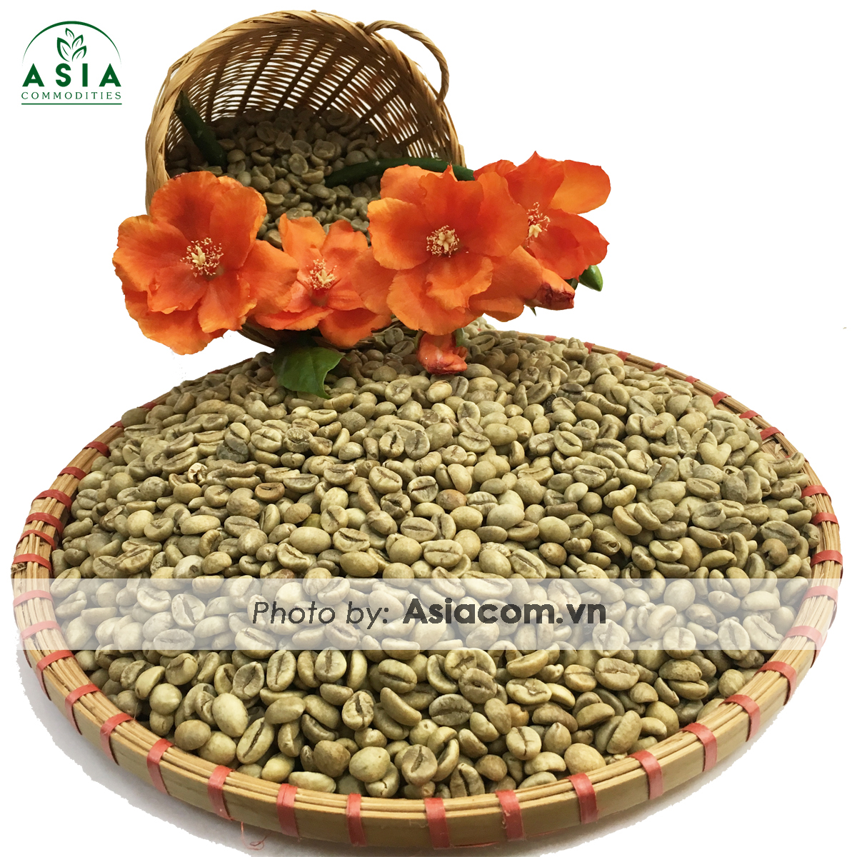 Вьетнамские зеленые кофейные зерна Robusta, новейшие цены в 2020 году