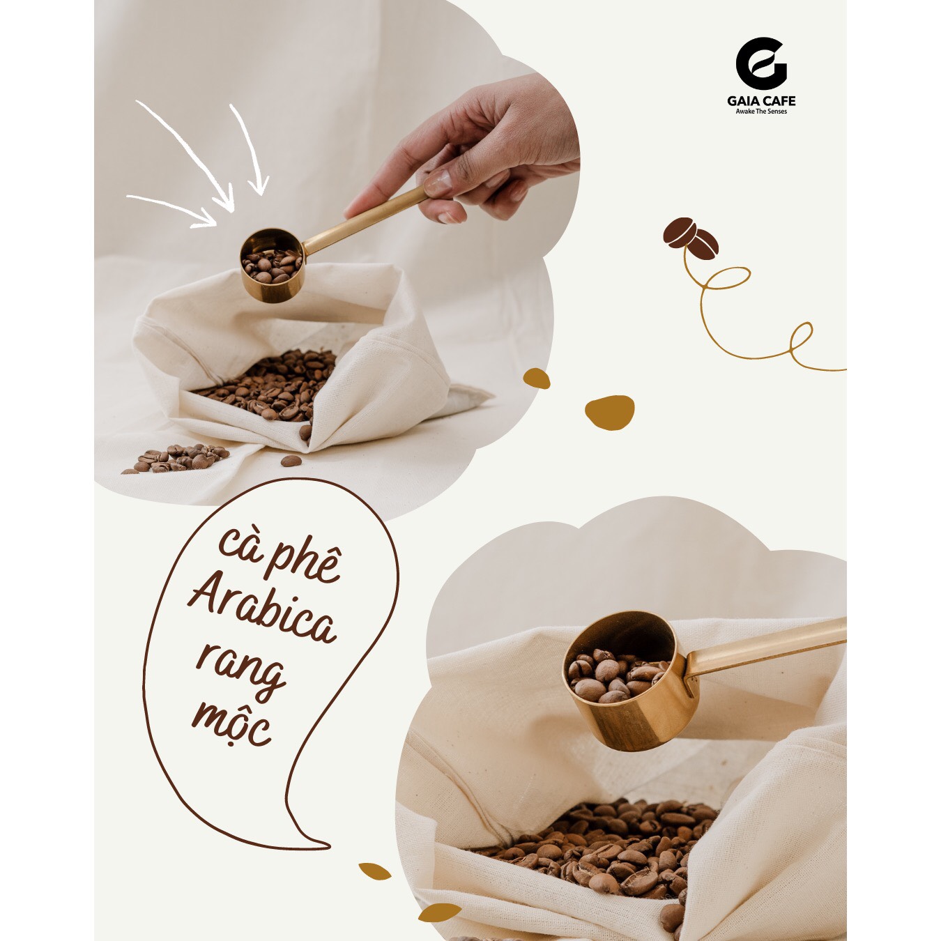 High quality 98% Maturity 2020 roasted robusta coffee beans from Vietnam