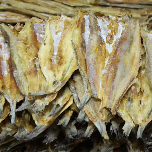 Dried Lizard Fish - Dried Seafood