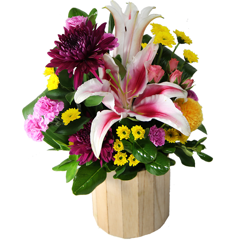 Mindful Arrangement pack 1