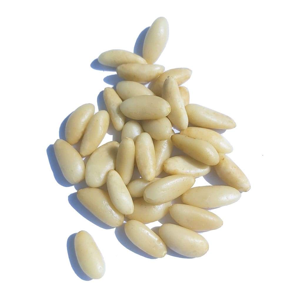 Quality natural pine nuts for sell