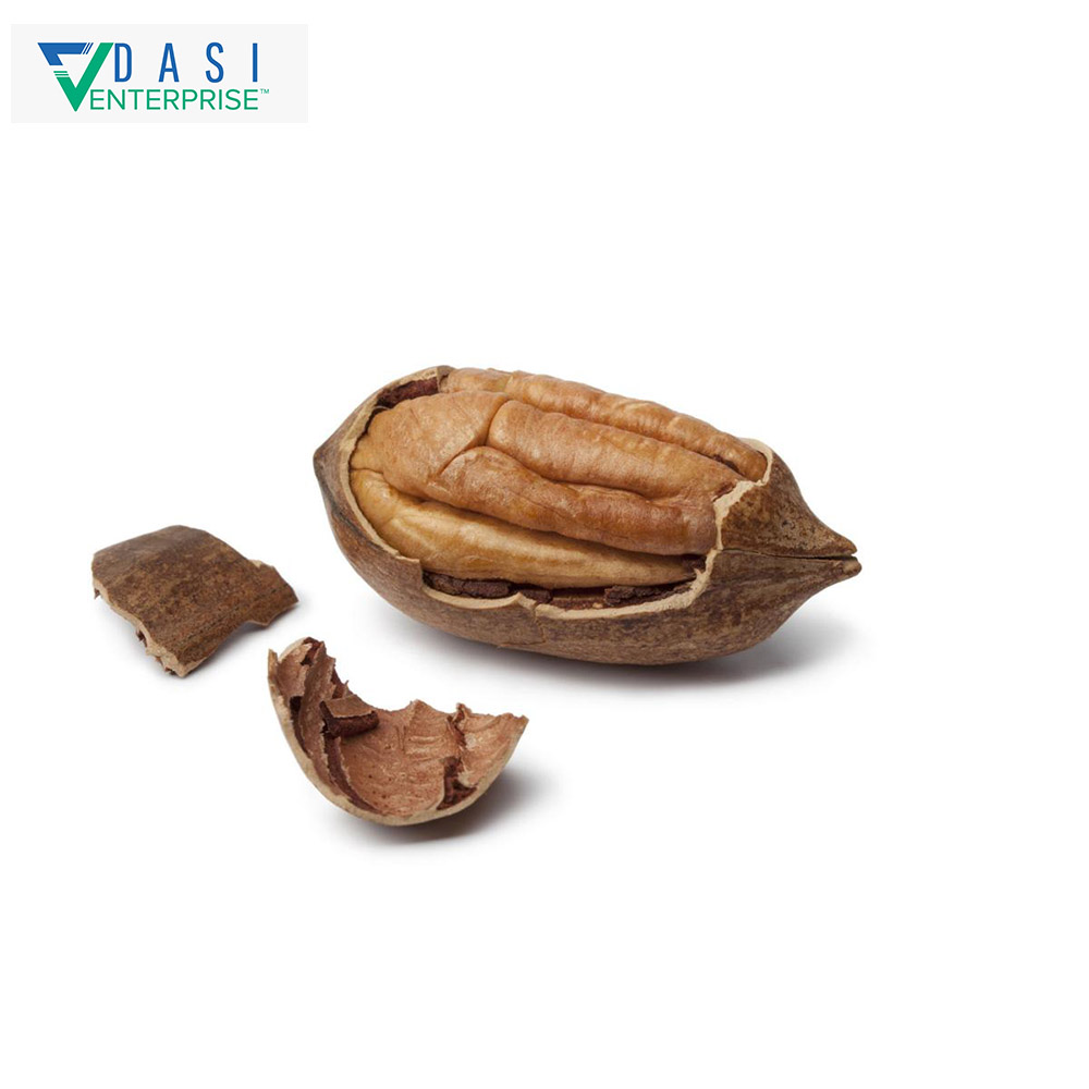 South Africa's Natural In Shell Raw Organic Fresh Pecan Nuts in Cartoons Packing At Affordable Price