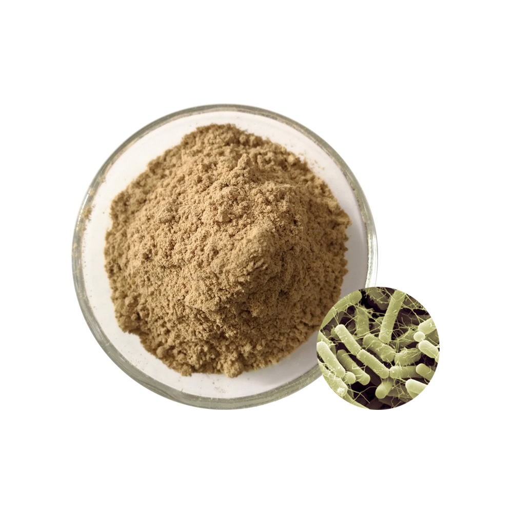 Высококачественная добавка для пробиотиков Bacillus Amyloliquefaciens, Zealmax Biopharma