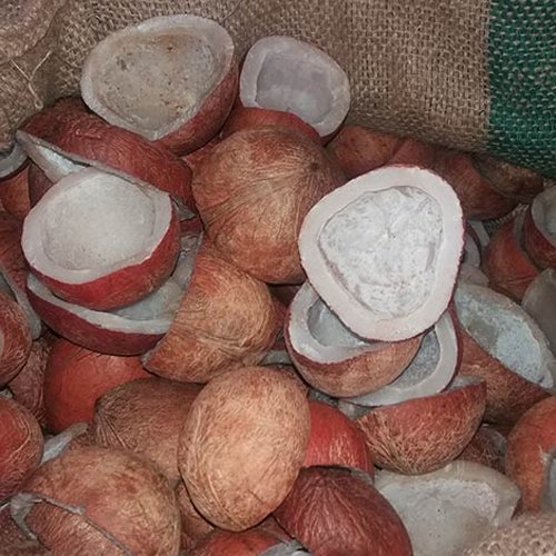 Сушеная Кокосовая копра чаша наполовину обрезанная индийская оптовая цена экспорт Кокосовая копра