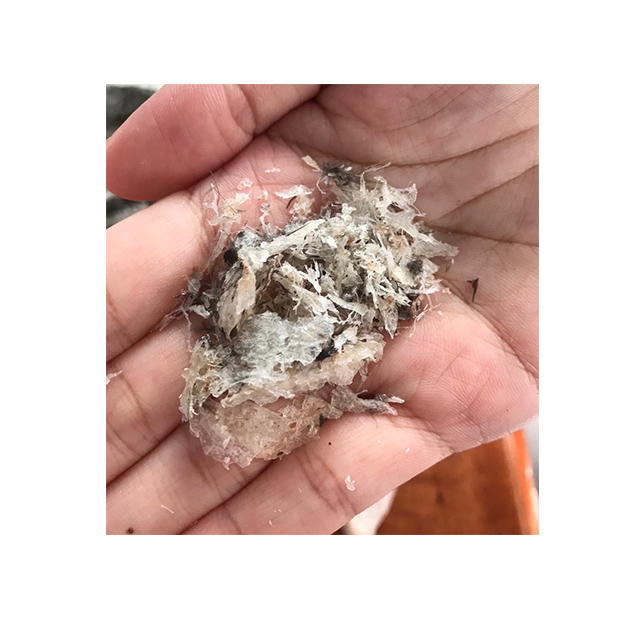 Raw Edible Bird's Nest Strips Classification ST3 500g Healthcare Supplement Original from South Thailand for 100% Export