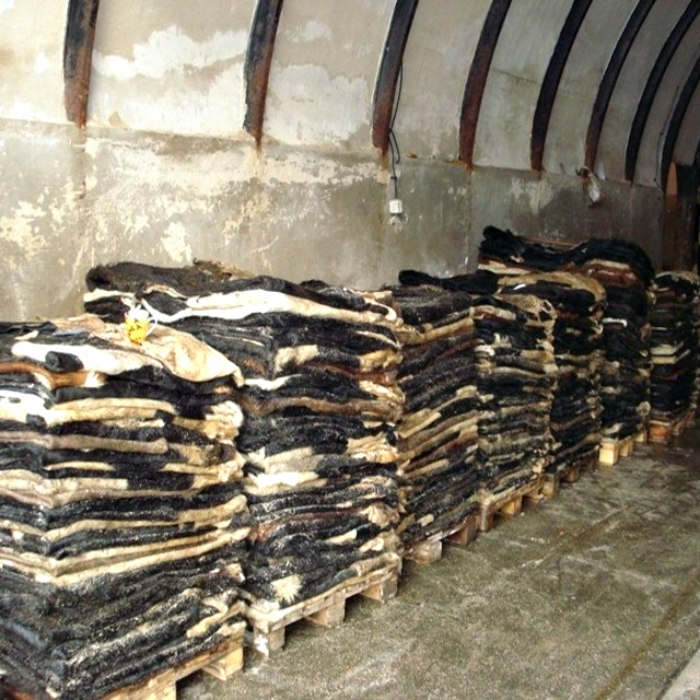 Wet Salted and Dried Donkey Hides/Goat Skin / Salted Cow Hides.