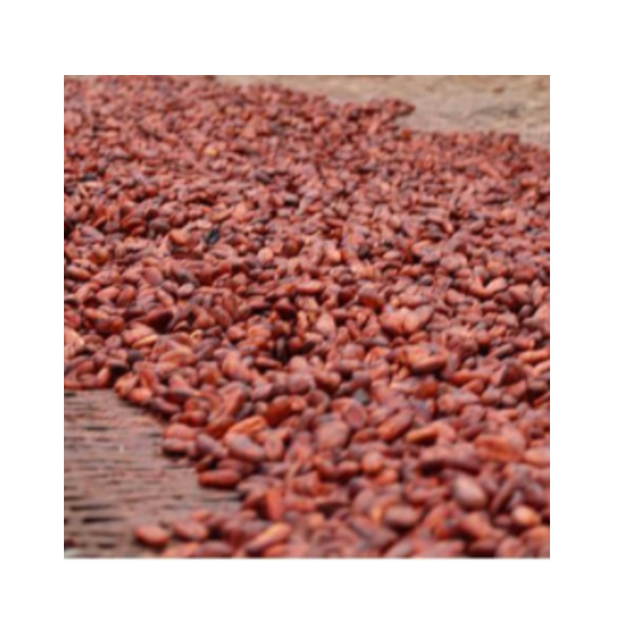 Brown Color 1 year Shelf Life Bag Packaging Azzan Cacao Powder, 100% Cacao 500g Export From Vietnam