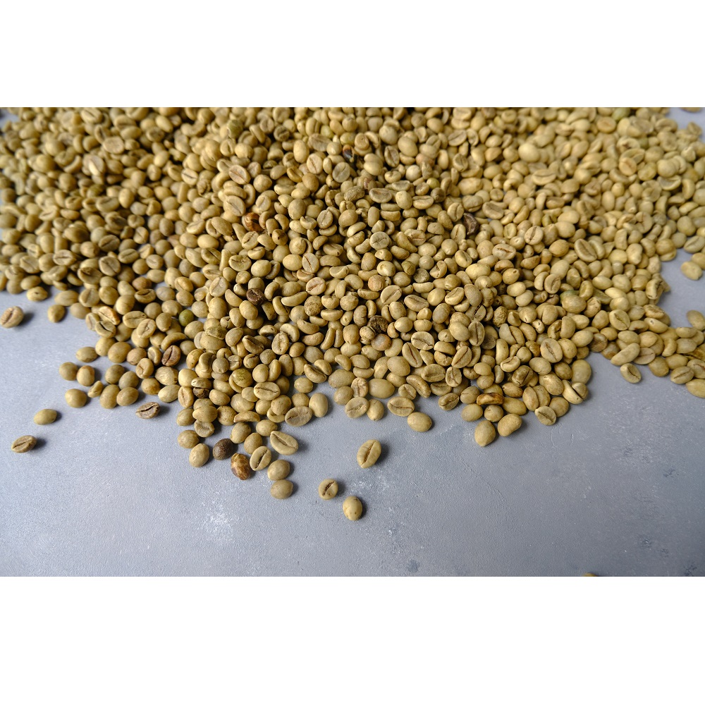 High Quality Natural Dried Robusta Green Coffee Beans (RO16t) With 2 Years Shelf Life From Vietnam