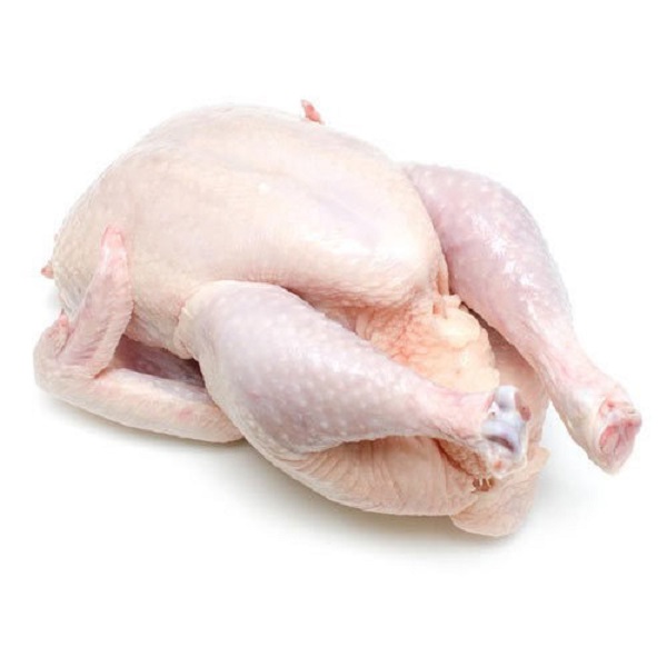 800gr - 1200gr size Premium Halal Frozen Whole Chicken supplier