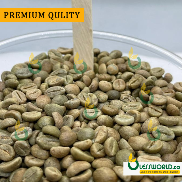Green Arabica COFFEE BEANS ( Natural )