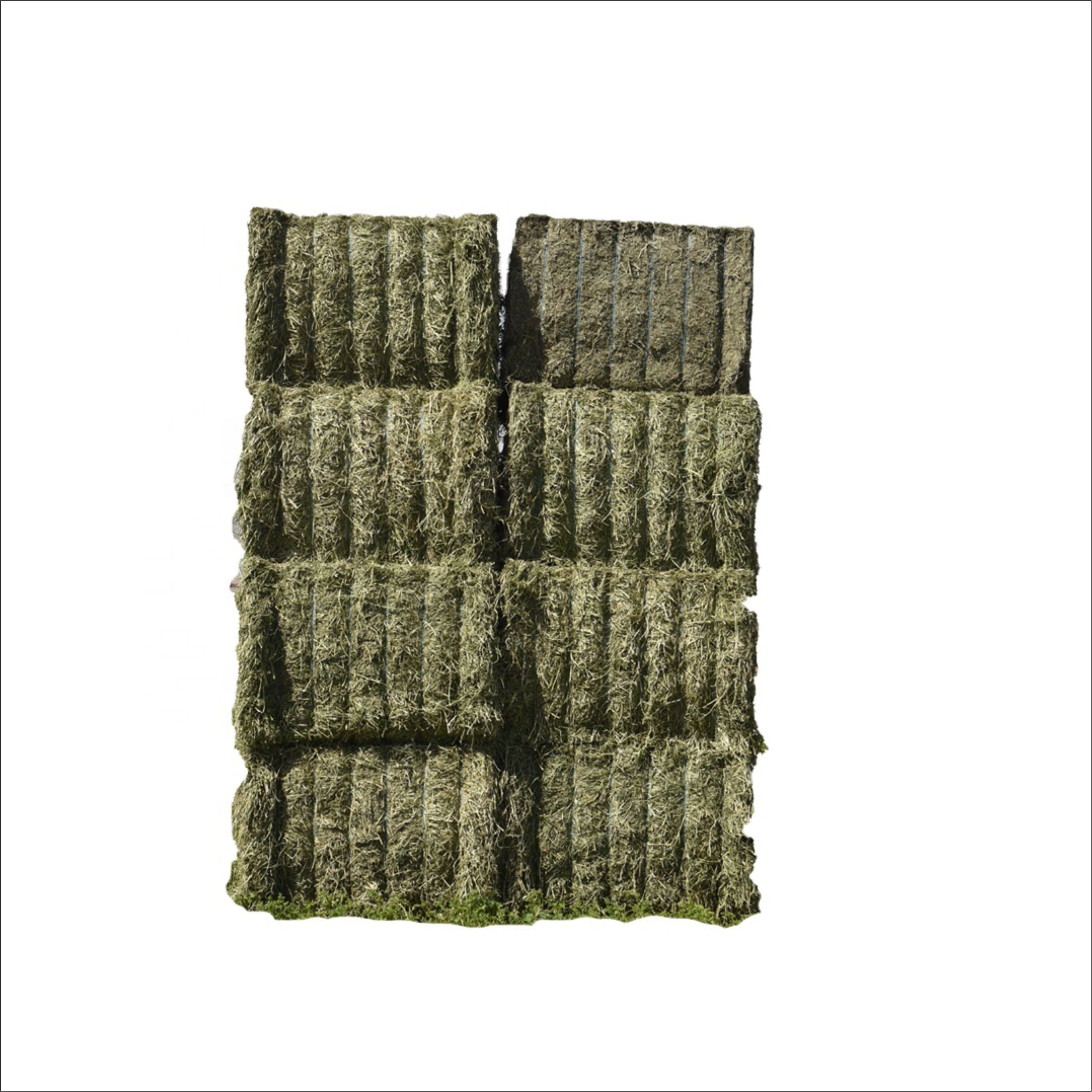 Canada Premium Alfalfa Hay/Alfalfa Hay for animal feed