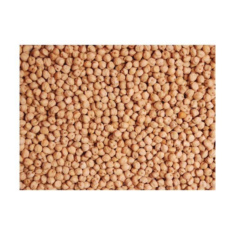 Quality natural chickpeas wholesale, chick pea