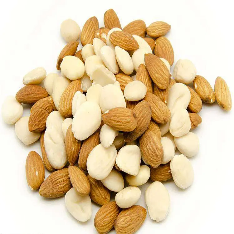 Hot Sale Factory Wholesale Cheap Price Pure Natural Top Grade Snack Use Bitter Apricot Kernels